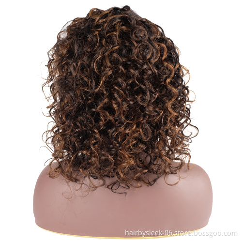 Wholesale Hot Selling Afro Kinky Curly Brazilian Remy 100% Hair Side Part Lace Wig Human Hair Wigs All Color Wig For Black Woman